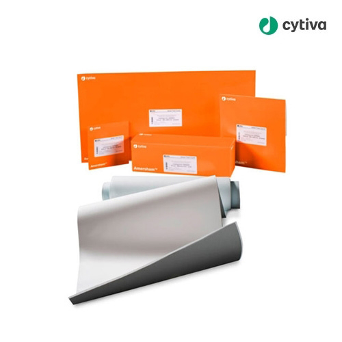Western Blotting Membrane/블라팅 멤브레인