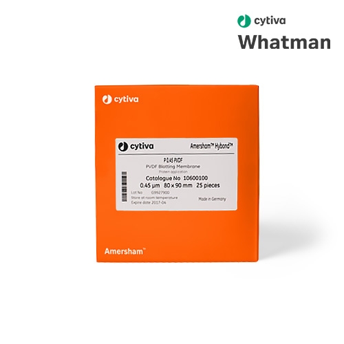 Blotting Membrane/블라팅 멤브레인 샌드위치