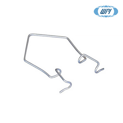 Wire Speculum/와이어 스페큘럼
