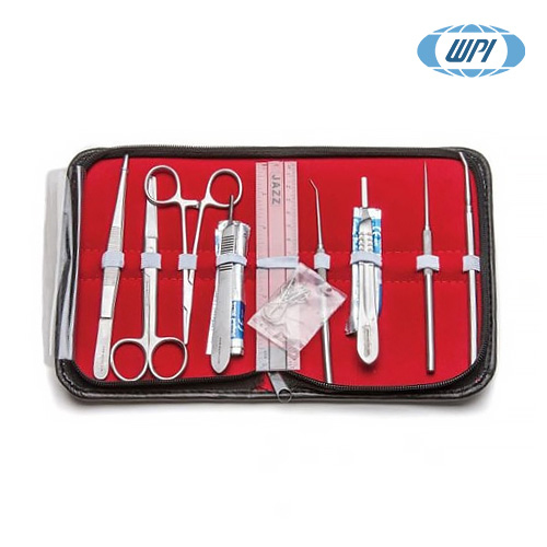 Student Anatomy Kit/기본 해부용 키트