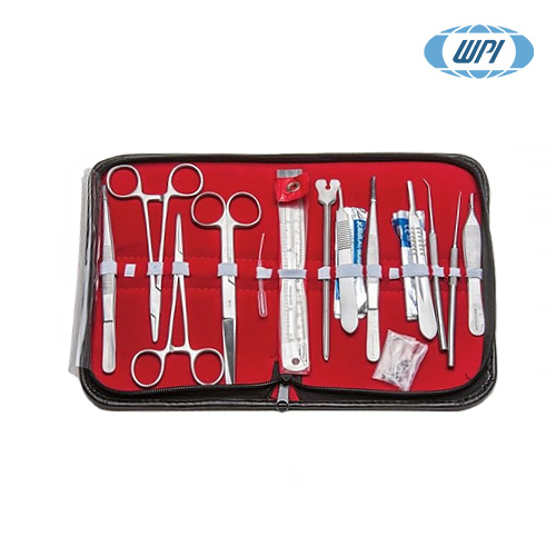 Student Anatomy Kit/기본 해부용 키트