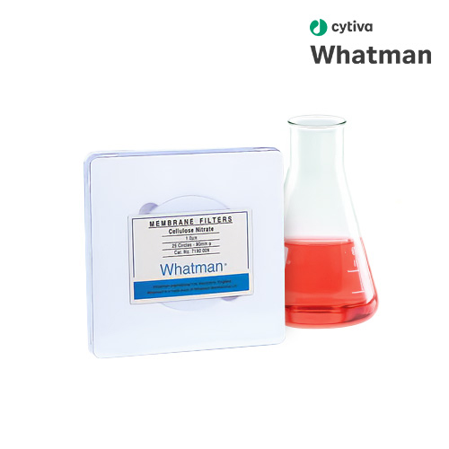CN(Cellulose Nitrate) Membrane Filter/CN 멤브레인 필터