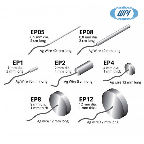 Ag/AgCl Electrode/Ag/AgCl 전극