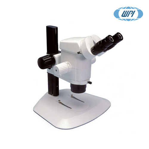 MICROSCOPE/삼안 실체 현미경