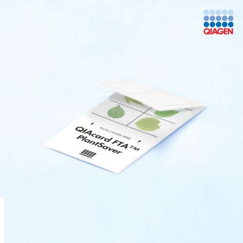 DNA Collection and Storage FTA Card/DNA 채취 및 보관 카드