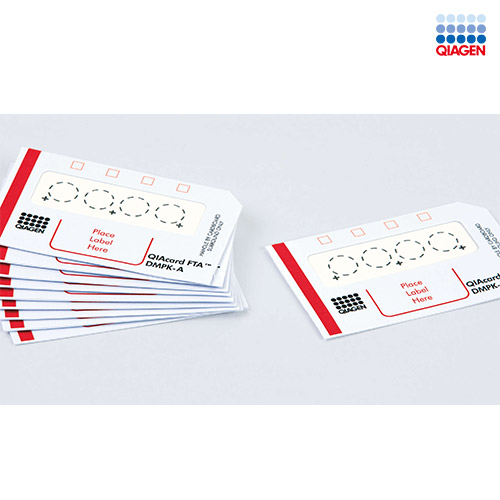 DNA Buccal Sample Collection Device/DNA 채취 및 보관 도구