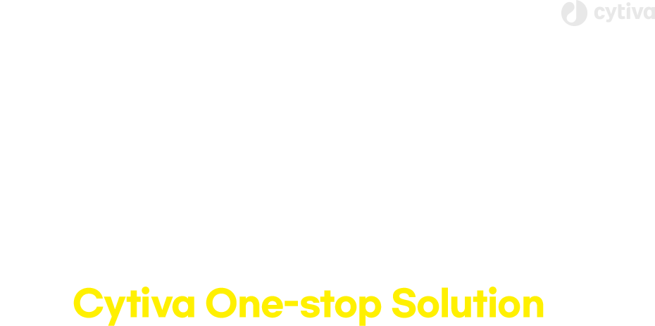 타이틀